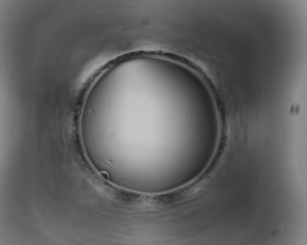 X0000112491263200908241317