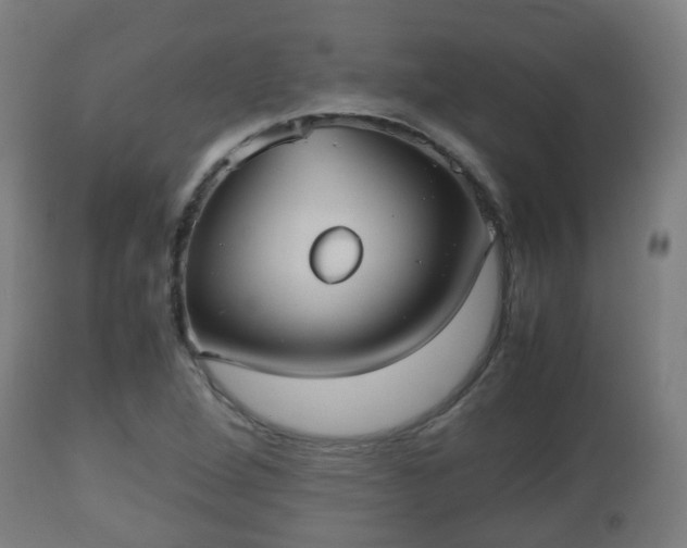 X0000112491264200908241317