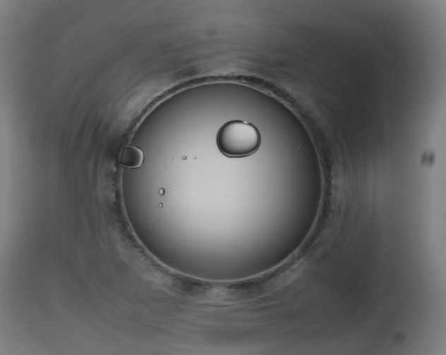 X0000112491265200908241317