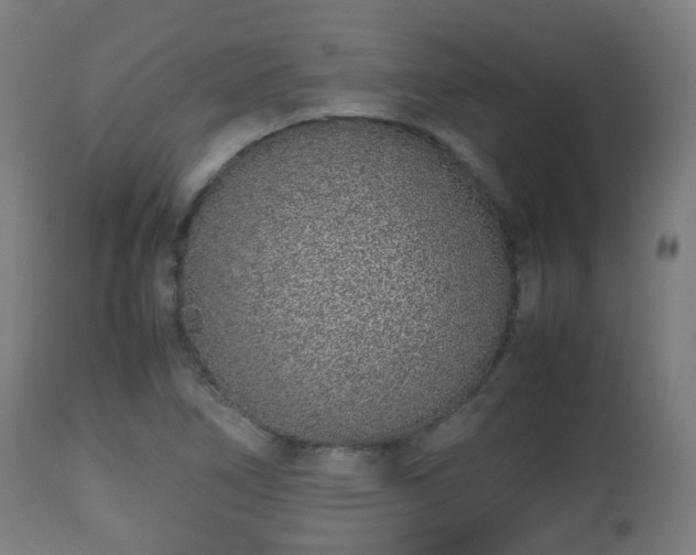 X0000112491266200908241317