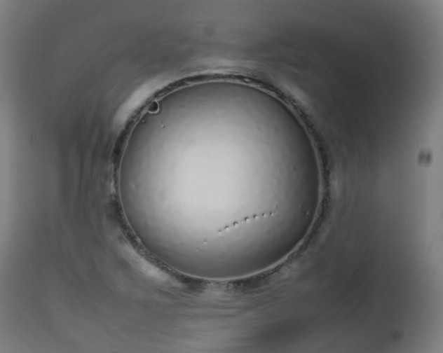 X0000112491267200908241317