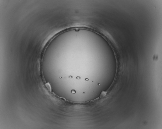 X0000112491268200908241317