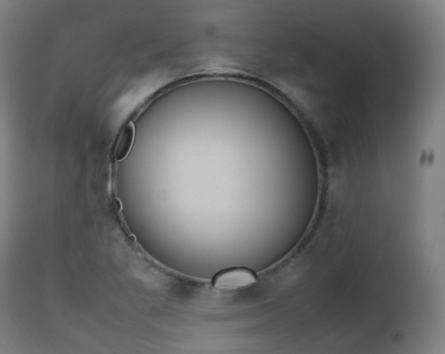 X0000112491269200908241317