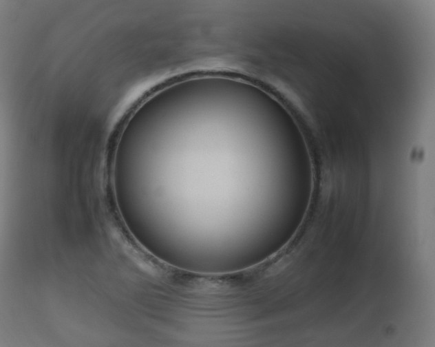 X0000112491270200908241317