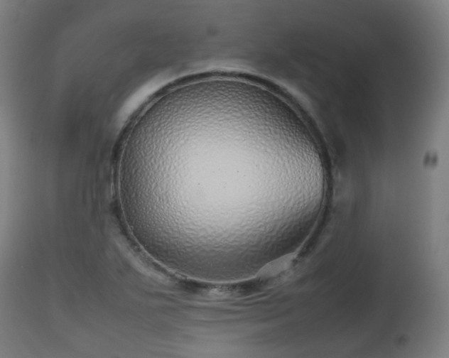 X0000112491271200908241317