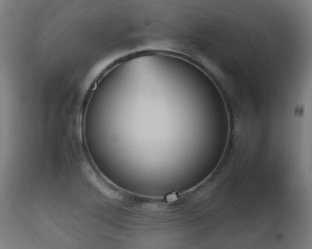 X0000112491272200908241317