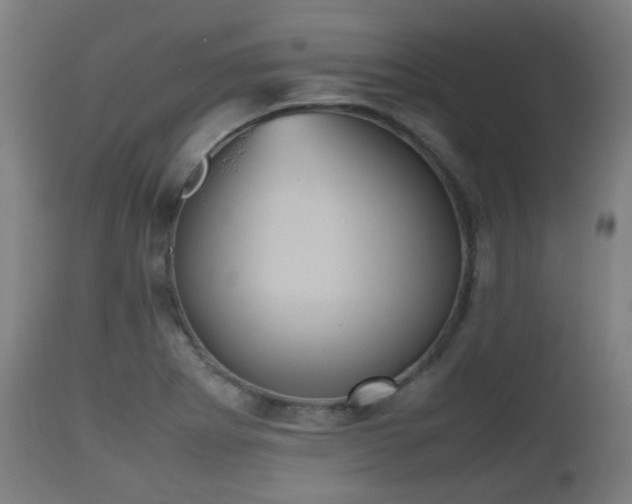 X0000112491273200908241317