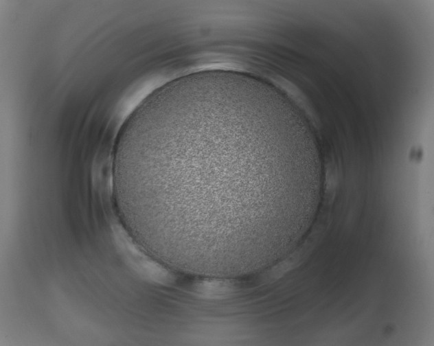 X0000112491274200908241317