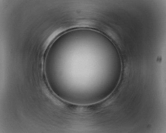 X0000112491275200908241317