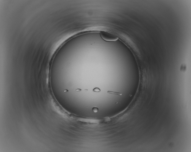 X0000112491276200908241317