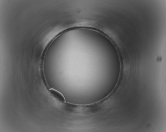 X0000112491277200908241317