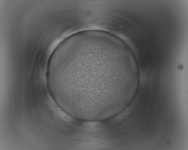 X0000112491278200908241317