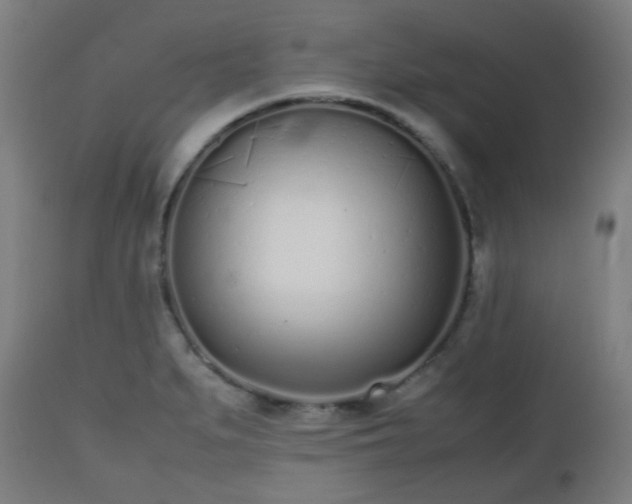 X0000112491279200908241317