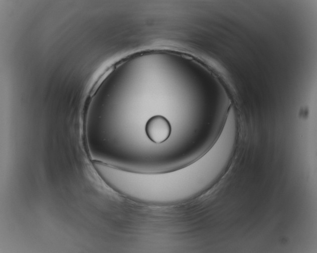 X0000112491280200908241317