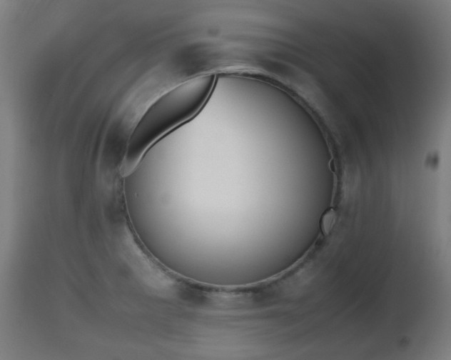 X0000112491281200908241317