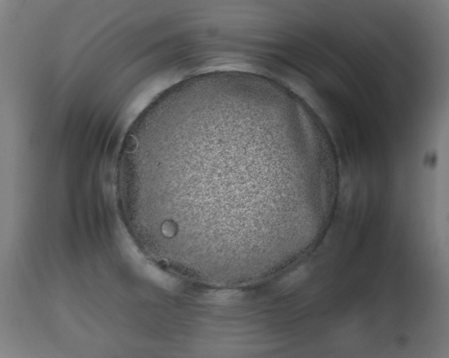 X0000112491282200908241317