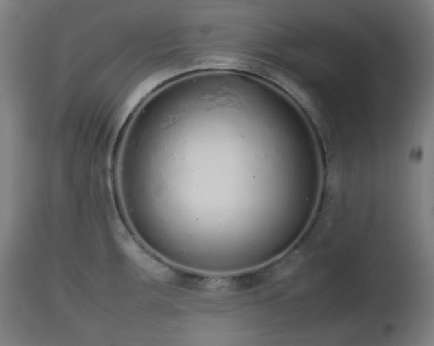 X0000112491283200908241317