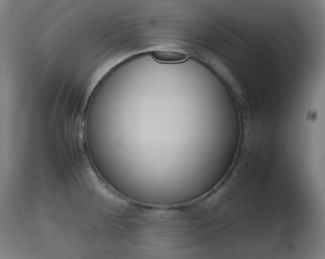 X0000112491284200908241317