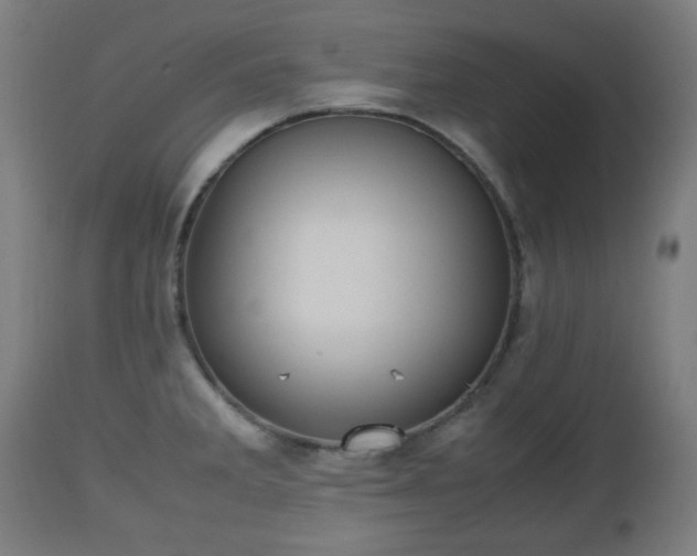 X0000112491285200908241317