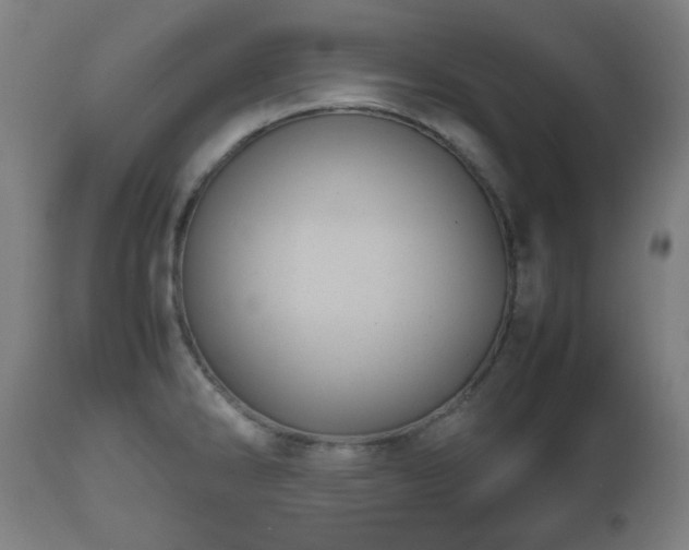 X0000112491286200908241317