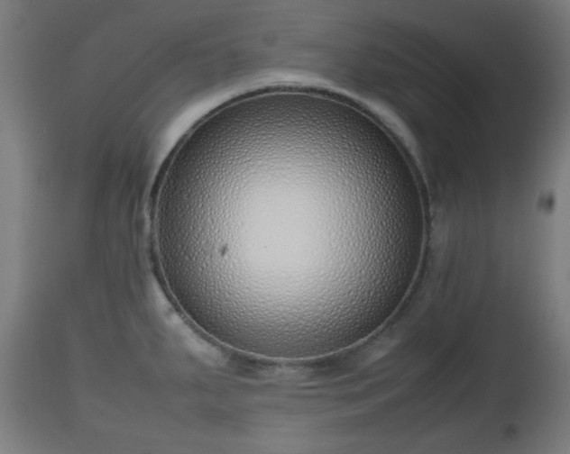 X0000112491287200908241317