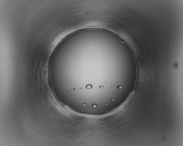 X0000112491288200908241317