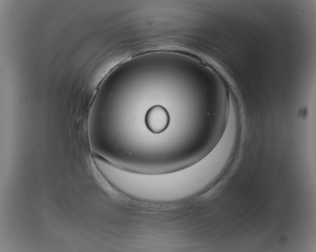 X0000112491289200908241317