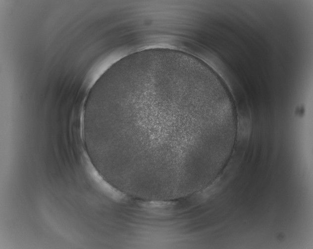 X0000112491290200908241317