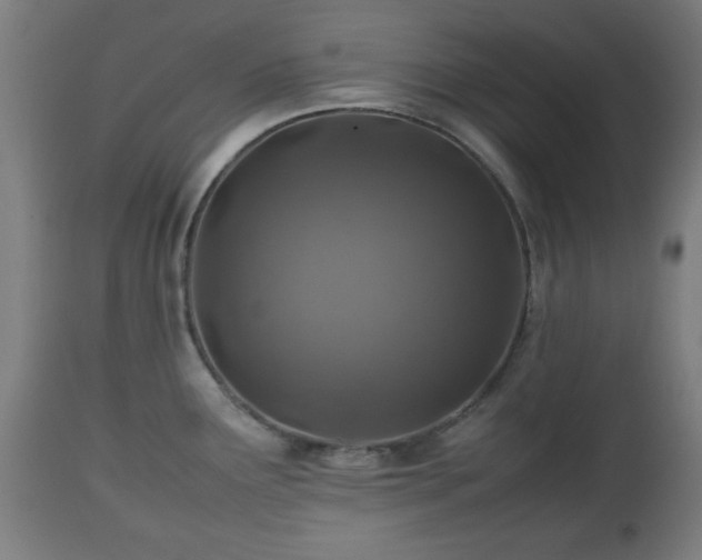 X0000112491291200908241317