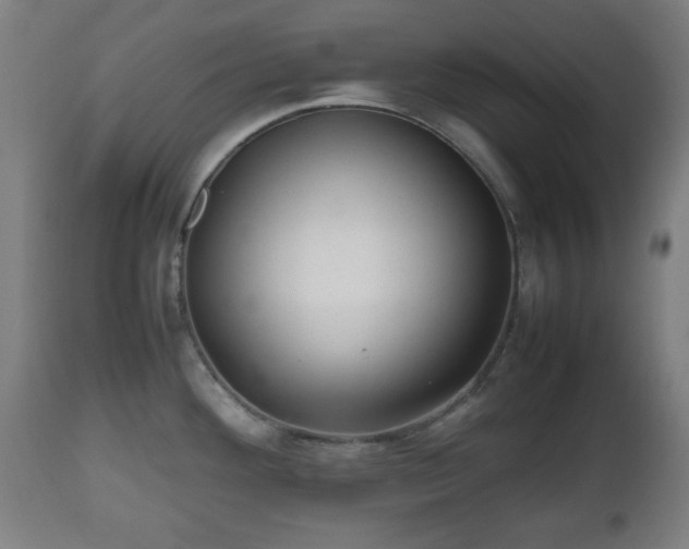 X0000112491292200908241317