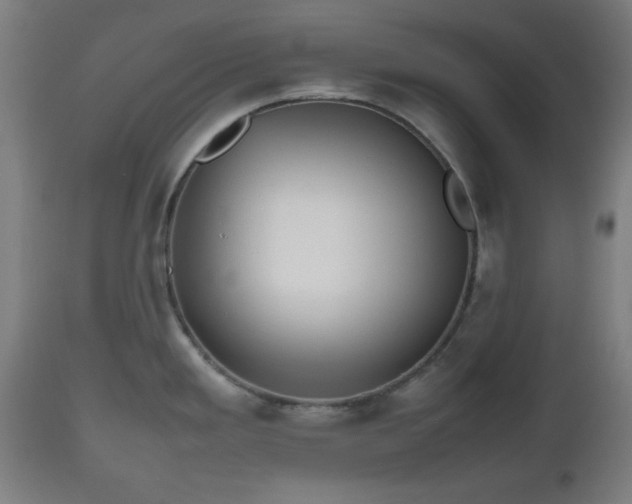 X0000112491293200908241317