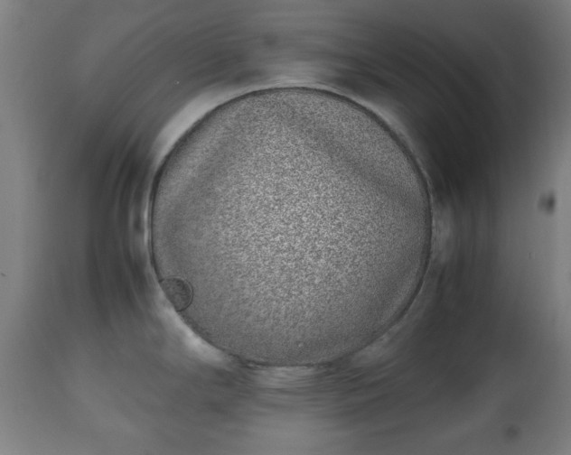 X0000112491294200908241317