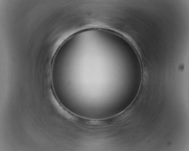 X0000112491295200908241317