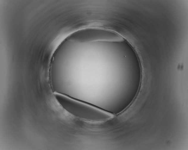 X0000112491296200908241317