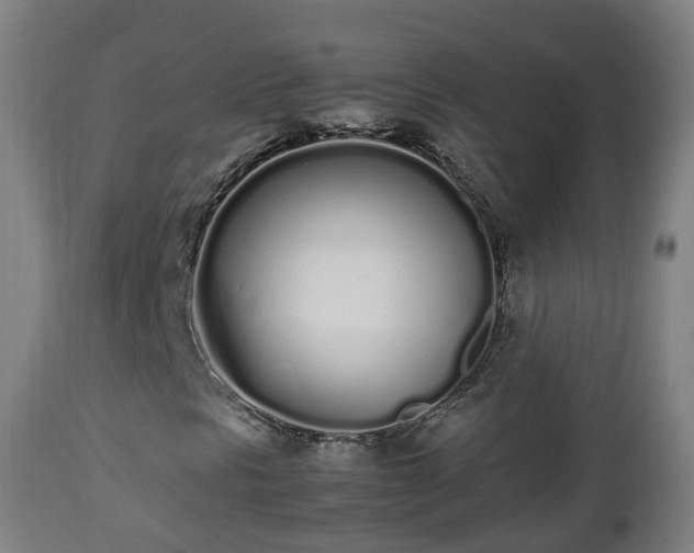 X0000112491297200908241316