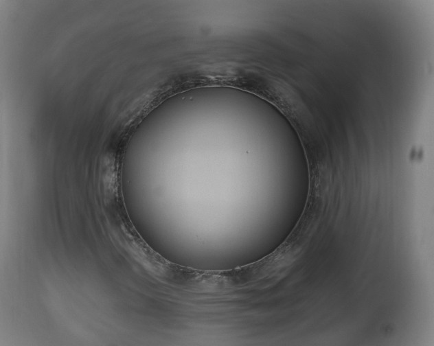 X0000112491298200908241316