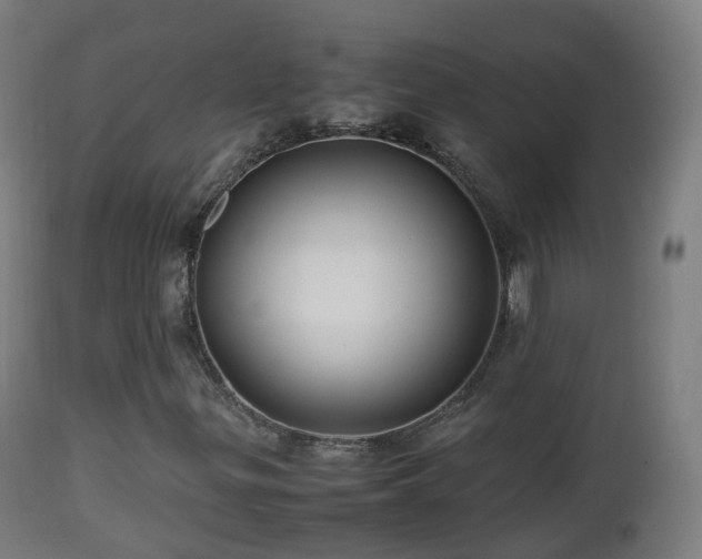 X0000112491299200908241316