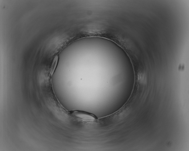 X0000112491300200908241316