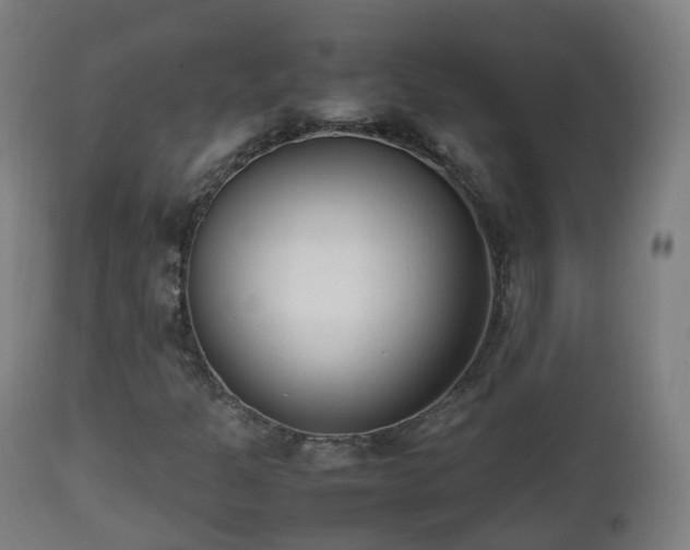 X0000112491301200908241316