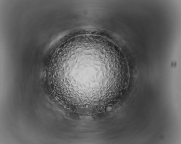 X0000112491302200908241316