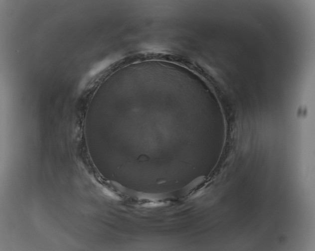 X0000112491303200908241316