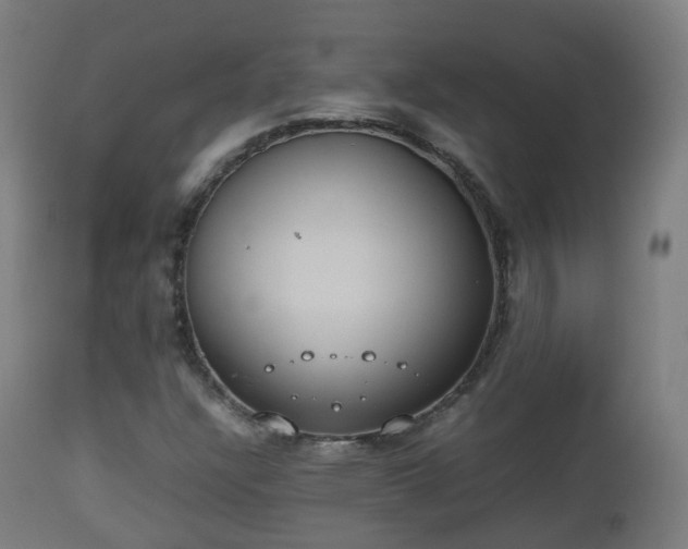 X0000112491304200908241316