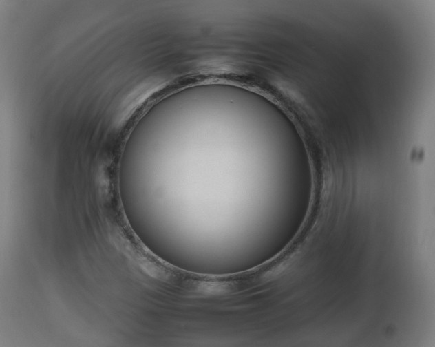 X0000112491305200908241316