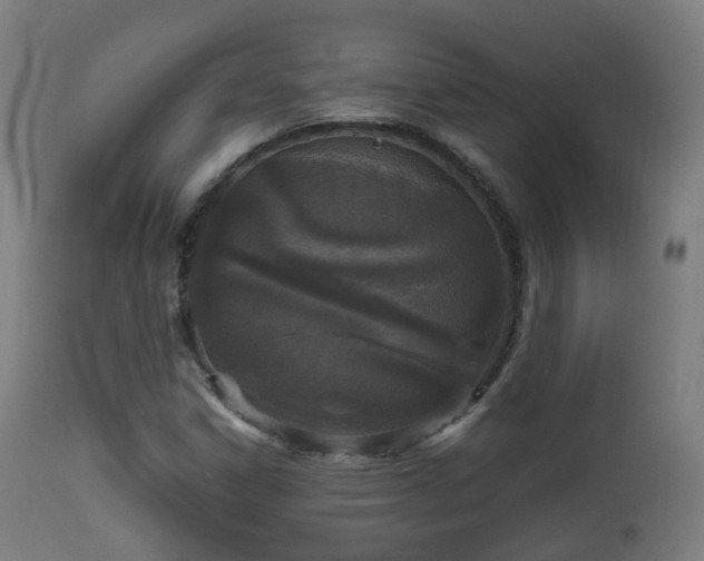 X0000112491306200908241316