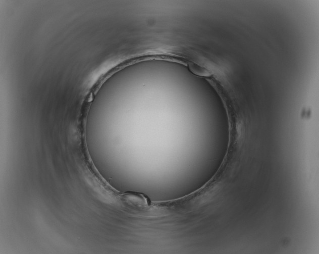 X0000112491308200908241316