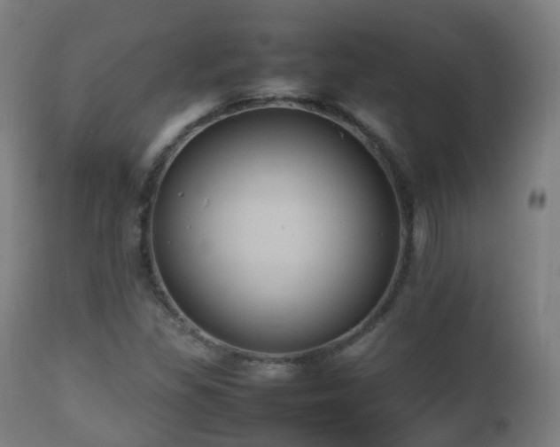 X0000112491309200908241316