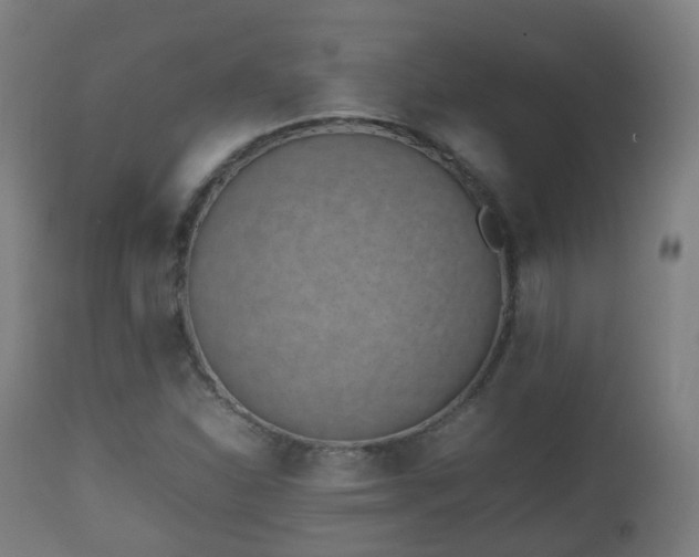 X0000112491310200908241316