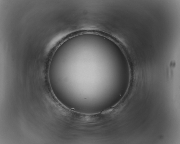 X0000112491311200908241316