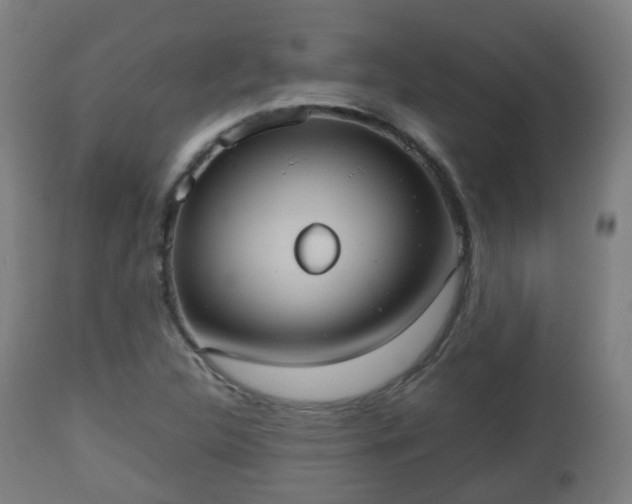 X0000112491312200908241316