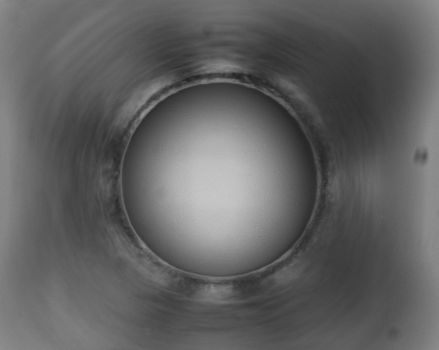 X0000112491313200908241316